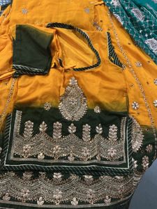 Designer Yellow &amp; Green rajputi poshak  Choli