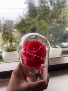 Showpiece Combo