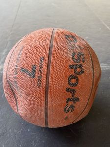 D-Sports Basketball