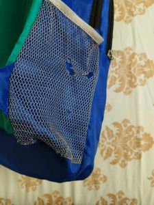 Blue Skybags Backpack