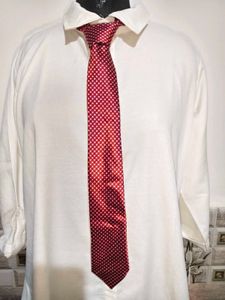 Elegant Red Dotted Necktie