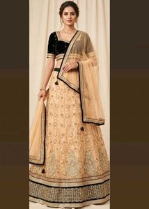 Elegant Black Velvet Blouse &amp; Beige Net Lehenga