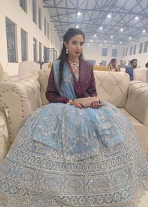 Blue Embellished Lehenga Choli