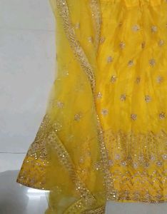 Elegant Yellow Lehenga Choli Set padded