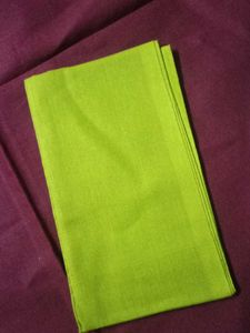 Vibrant Green saree fall