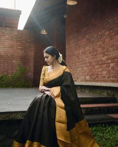 Elegant Black &amp; Gold Saree