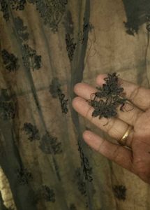 Chickenkari Kurthi..