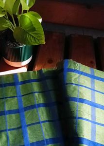 Cotton Silk Saree (Blue &amp; Green)