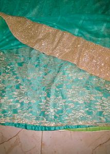 Beautiful Teal Net Skirt