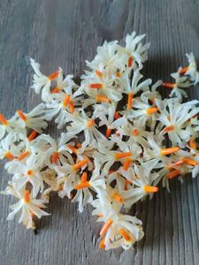 harshingar flower dried