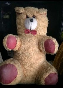 Tedy Bear