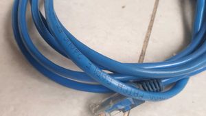 Blue Ethernet Cable