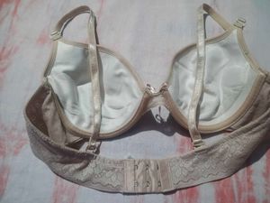 Lace Detail Padded Bra