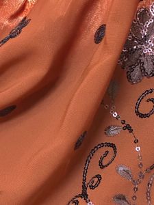 🤎✨🍂Rust Brown Poonam Georgette Sequin Saree | Pa