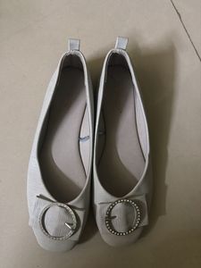 Elegant Silver Ballet Flats(never used)