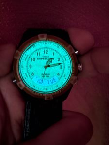 Timex Expedition Watch