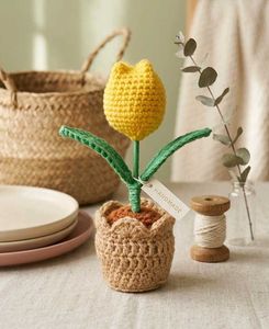 Crocheted Yellow Tulip Plant planter