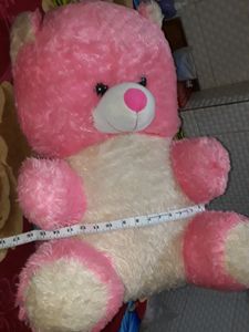 Huge Big Teddy