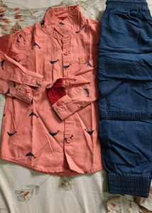 Cute Dolphin Print Shirt and Pants Set