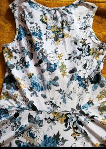 Floral Print Sleeveless Dress