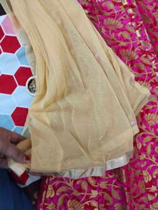 Lehnga Choli Set