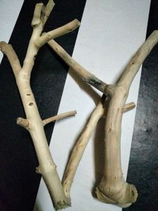 Natural Driftwood Branches &amp; Roots
