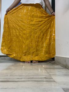 Sparkling Sequin chaniya choli