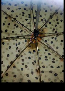 Cute Leopard Print Umbrella