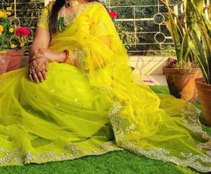 Net Saree With Padad Blouse