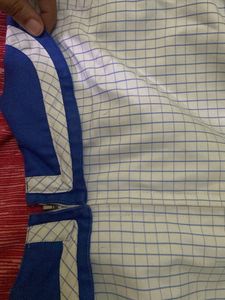 Lucknow Public school top