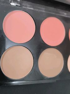 Swiss Beauty Ultra Blush Palette