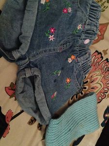Embroidered Denim Shorts