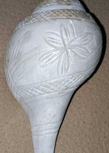 Two Dakshinavarti Shankh Ornate Conch Shell -