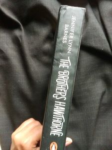 The Brothers Hawthorne Novel
