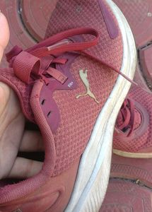 Maroon Puma Sneakers