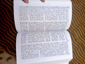 Rajpal Learners' Hindi-English Dictionary