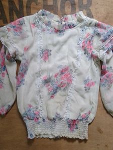Floral Print Sheer Blouse/top