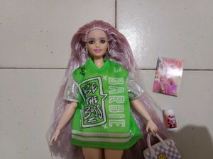 Barbie Doll with Accessories