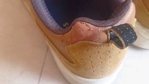 original skechers shoes..
