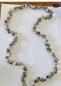 Seashell Necklace