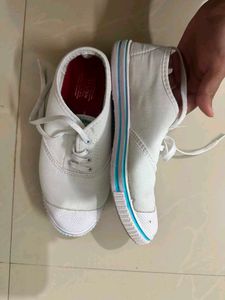 Classic White Canvas Sneakers