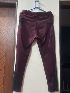 Stylish Burgundy tights with Mesh Accents