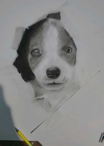 Cute Puppy Pencil Sketch