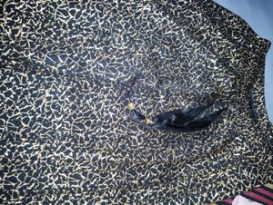 Black &amp; Gold Patterned Pants