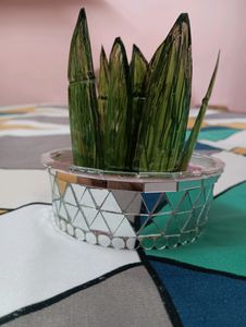 Handmade Artificial Plant For Decor