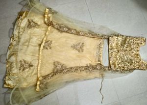 Elegant Lehenga Choli Set