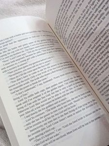 The Girl Who Fell Beneath th