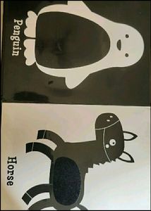 Touch And Feel Book