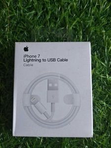 iPhone  Lightning to USB Cable