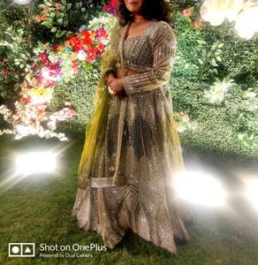 Olive Elegant Mirror Lehenga